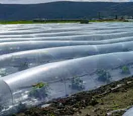 Applicazione di stabilizzatori polimerici in agricoltura