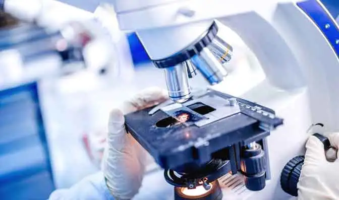 Implementa un sistema di ricerca e sviluppo integrato