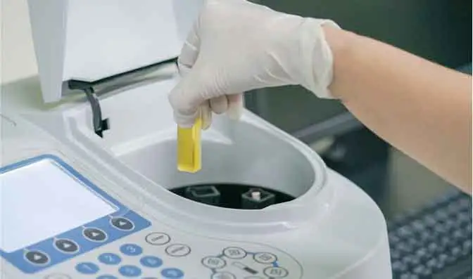 Capacità di ricerca e sviluppo