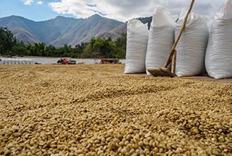 Processo di produzione di antiossidanti polimerici