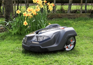 Antiossidante di fosfito